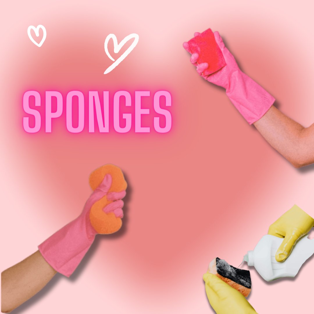 Sponges