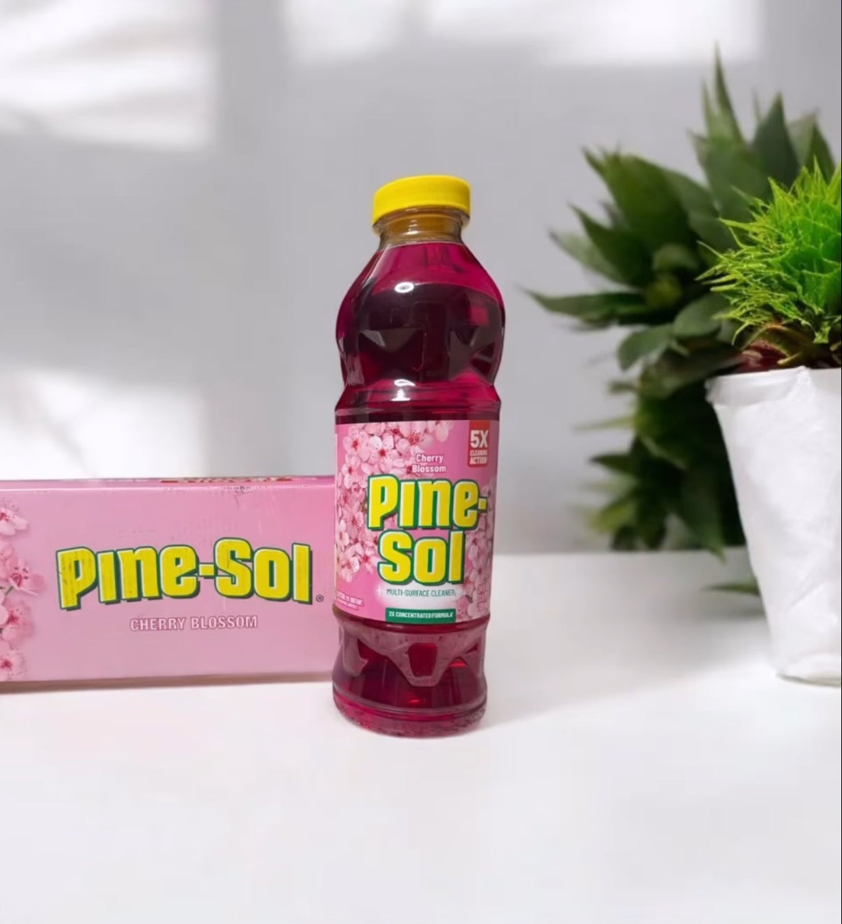 Pine-Sol Pink Cherry Blossom 24oz