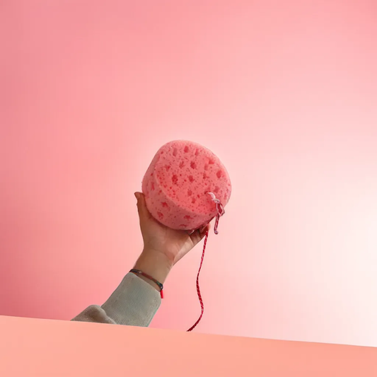 Round Horse Sponge Variety Colors