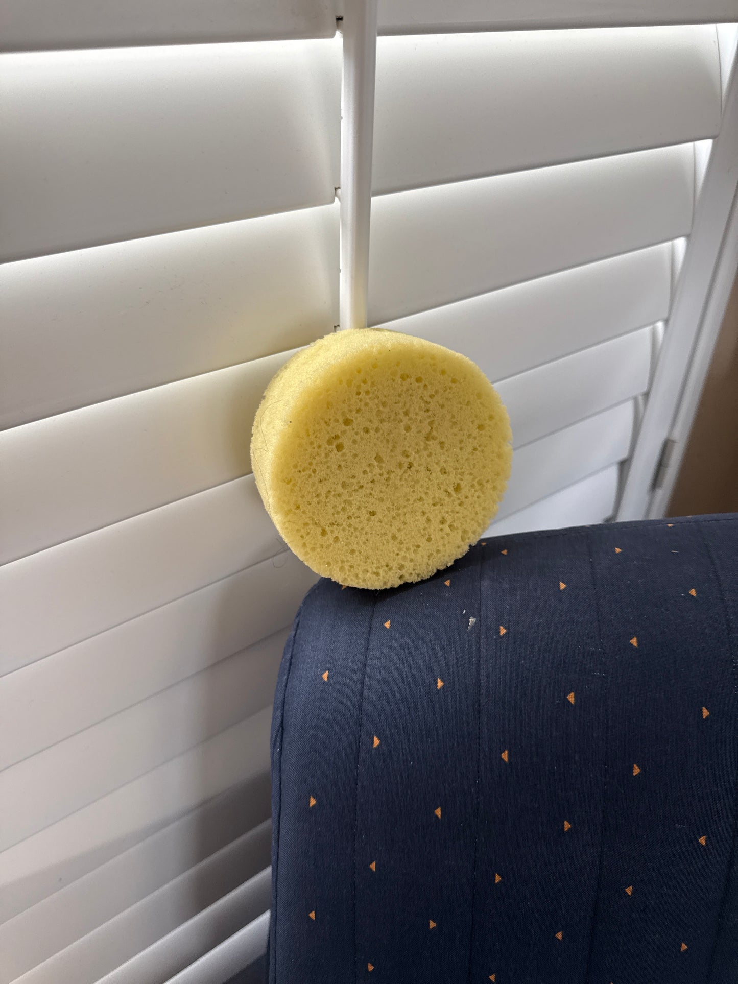 Circle sponge discontinued