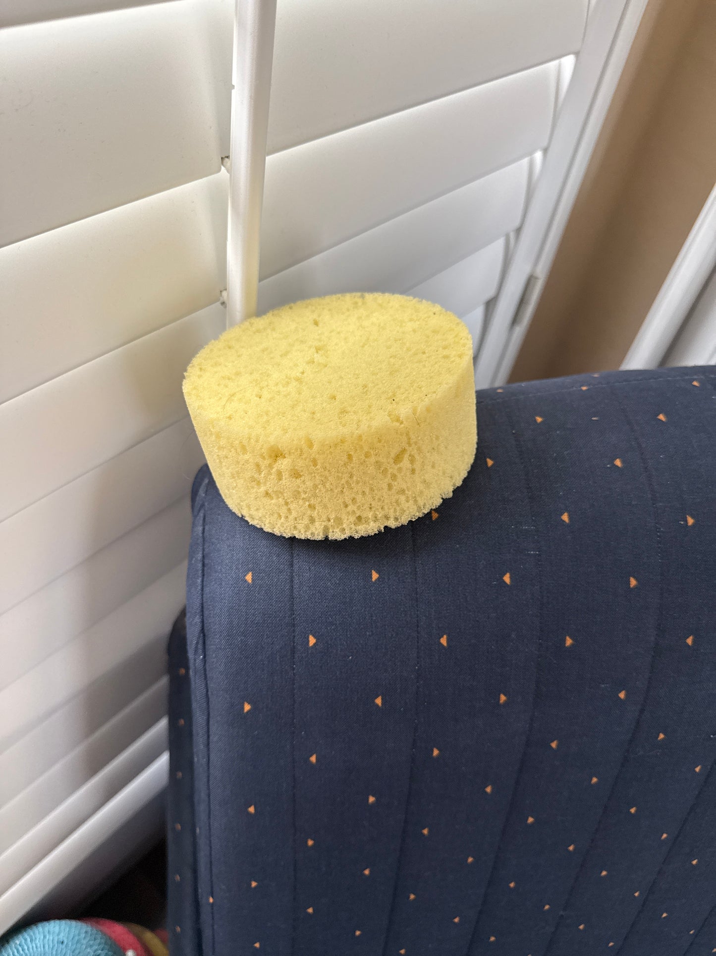 Circle sponge discontinued