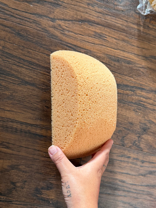 Clam shell Ace version soft