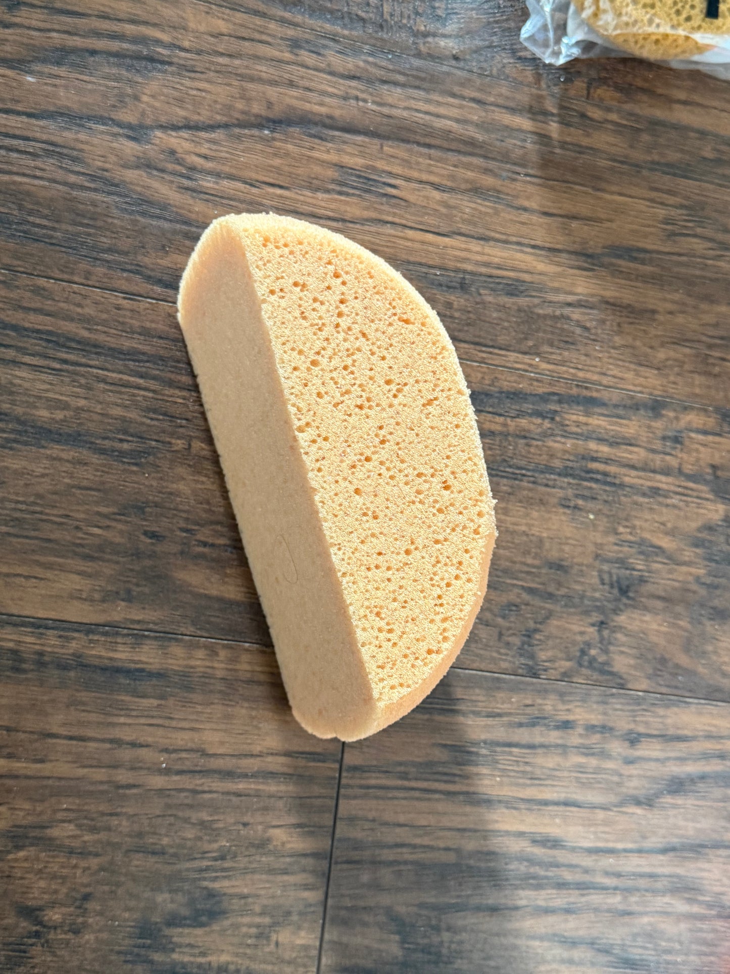 Clam shell Ace version soft