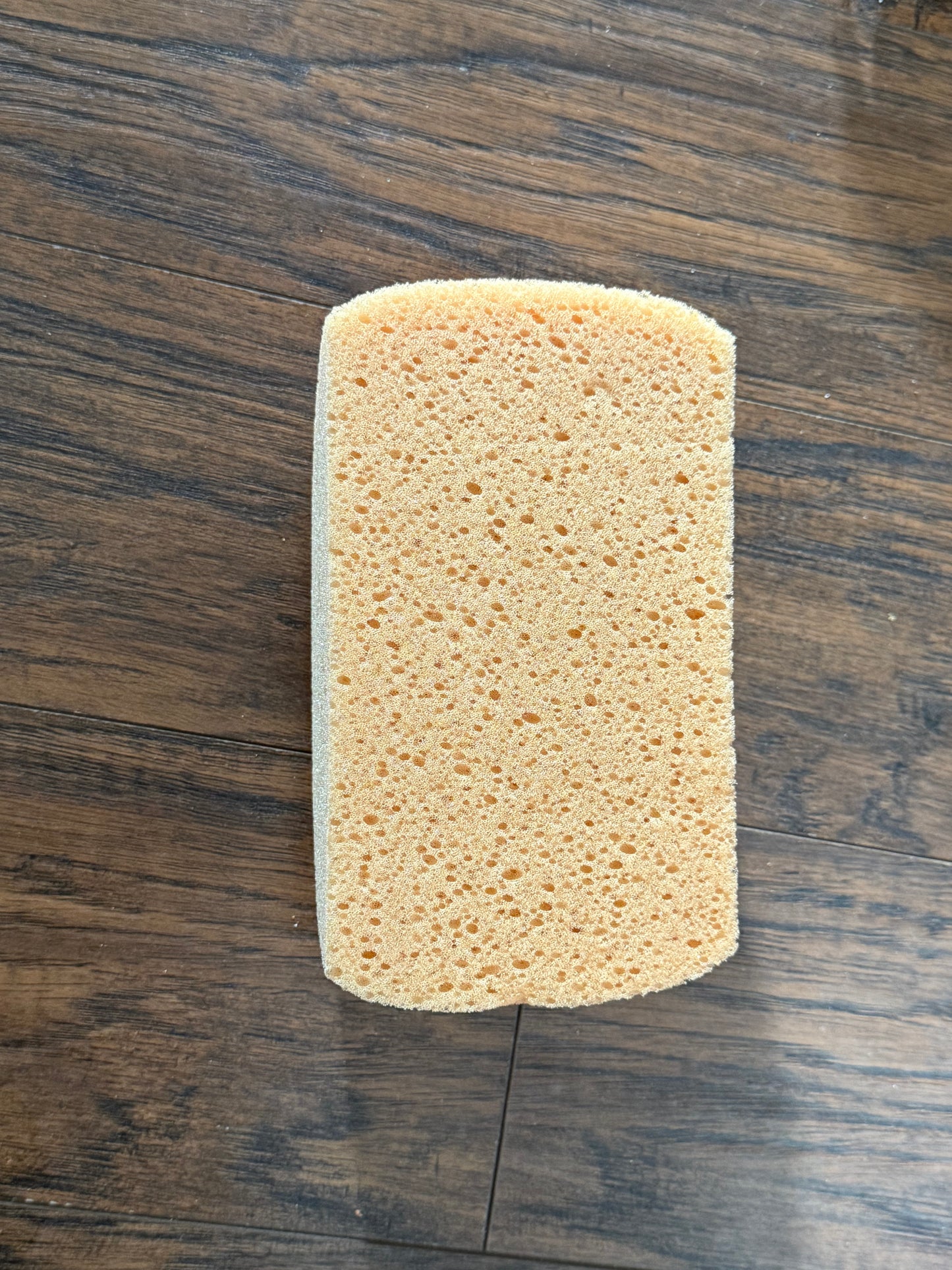 Clam shell Ace version soft